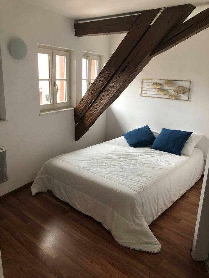 Appartement Avec Balcon Centre Ville Strasbourg Eksteriør billede